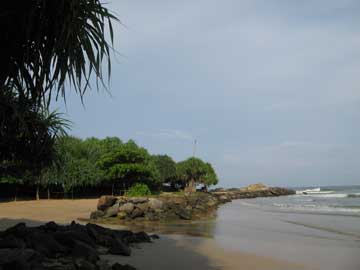 Остров Шри-Ланка – Утро под пальмами