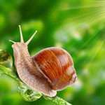 Короткі притчі в картинках: Виходь вчасно