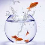 Як свідомо виходити з зони комфорту