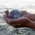 Велика таємниця води