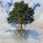 Ударна підготовка до Нового року: 22-й день Марафону