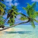 Загадковий острів Шрі-Ланка – шматочок раю на Землі