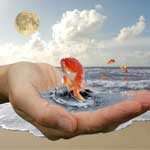 Хто і що заважає здійснити вашу мрію