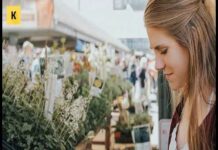 Соціальний маркетинг-практика застосування, цілі, види і приклади