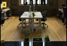 Що таке фірма-одноденка-ознаки та відповідальність за створення