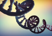 РНК та її космічний розподіл: нове дослідження показує, що будівельні блоки життя широко поширені