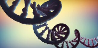 РНК и её космическое распространение: новое исследование предполагает, что строительные блоки жизни широко распространены