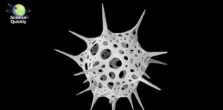 Nanokosmos: Zkoumání skryté krásy mikroskopického světa