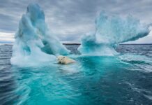 Потепління в Арктиці: 20 років швидких змін