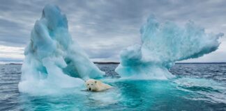 Erwärmung der Arktis: 20 Jahre rasanter Wandel