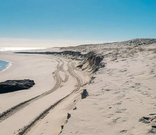 Відкриття затонулого корабля 19-го століття на пляжі Нью-Джерсі через 136 років