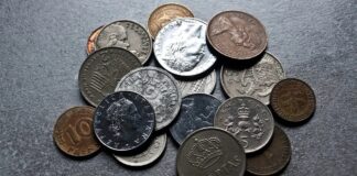 The Beginner’s Guide to Coin Collecting: From Pennies to Priceless Artifacts