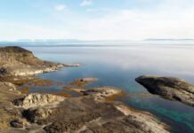 Стародавні Моряки: Людська Діяльність Формувала Арктичну Екосистему Тисячоліття Назад