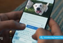 Ring Search Group: Jak to funguje a jak se odpojit