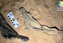 Наукові досягнення: перегляд вакцини від грипу, інгаляційний імунітет та нове відкриття динозавра