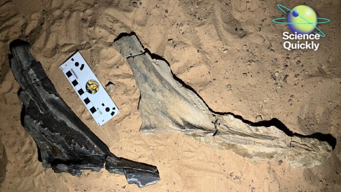 7cd16d43-3995-46a7-8ee9-8f34947d6339