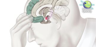 El futuro del diagnóstico de enfermedades mentales: un nuevo trazado de los límites psiquiátricos