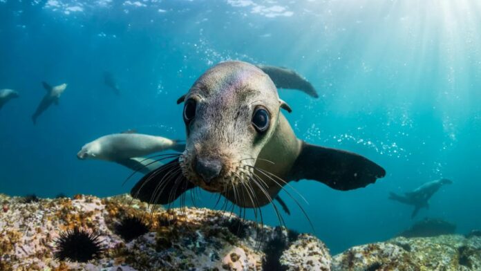 511370fe-5f56-4636-a61f-8fc75af0ee0a