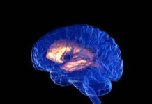 Китай Лідує у Глобальній Гонці за Мозкові Імплантати з Першим Комерційним Схваленням