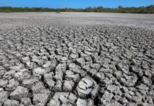 Засухи Сприяють Розвитку Антибіотикорезистентності: Зростаюча Глобальна Загроза