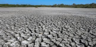 Засухи Способствуют Развитию Антибиотикорезистентности: Растущая Глобальная Угроза