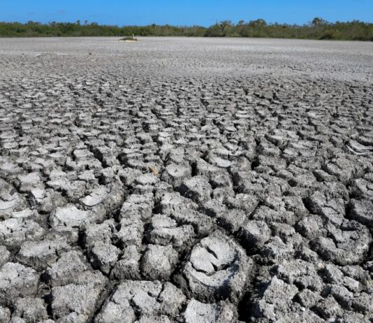 Засухи Сприяють Розвитку Антибіотикорезистентності: Зростаюча Глобальна Загроза