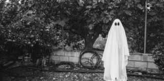 Nauka o przerażaniu: jak infradźwięki mogą symulować obecność duchów