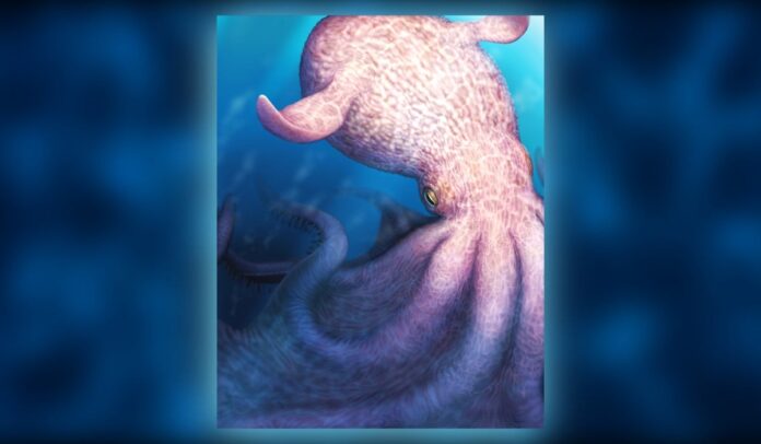 3b6abc82-dd88-4318-8692-1a0003d87a9c