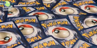 Больше чем просто игра: как Pokémon становится проводником в мир реальной науки