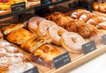 La barre de chargement neuronal : comment le cerveau traite le choix et la nécessité