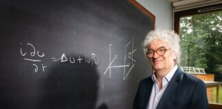 Encontrando ordem no caos: como Frank Merle domesticou equações não lineares para ganhar US$ 3 milhões