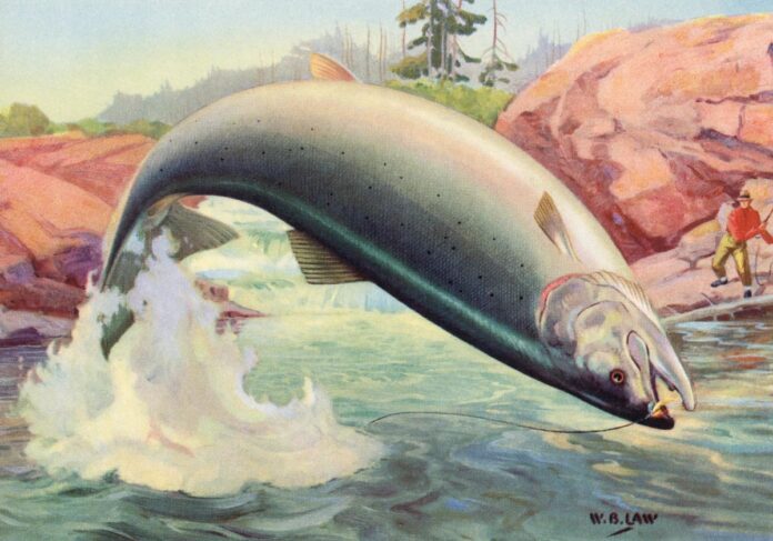 7c7c8f76-2172-48dc-a446-591601aa08f2