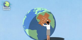 Encontrar esperanza en el Antropoceno: lecciones de la historia ambiental