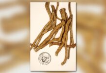 Дискуссия об ибогаине: прорыв в лечении или медицинский риск?