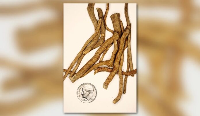 95e3749c-d28a-4e57-ac99-d7e38c89092c