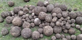 Livelli di conflitto: munizioni medievali e proiettili della prima guerra mondiale rinvenuti in Belgio