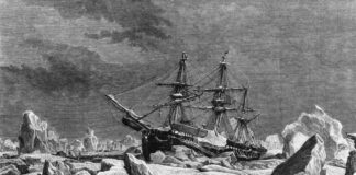 DNA identifiziert vier Seeleute der Lost Franklin Expedition