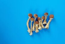 Public Support for Psychedelic Research and Therapy Surges in New Poll