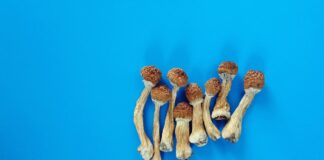 Sostegno pubblico alla ricerca psichedelica e alle impennate terapeutiche nel nuovo sondaggio