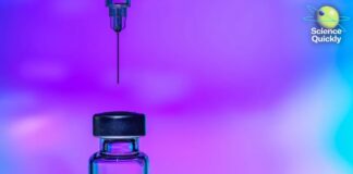 The Peptide Boom: Why Social Media’s “Miracle Cures” Are Dangerous