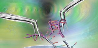 CRISPR’s Safer Sibling: Editing the Switch, Not the Code