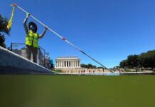 The Lincoln Pool didn’t need chemicals. It needed bugs.