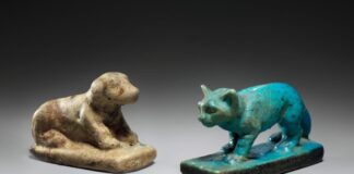 Il Met Museum è ora una parola per il tuo cervello 🗺️