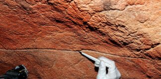 Oude grotschilderingen bevatten millennia lang menselijk DNA