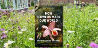 Why Magnolias and Grasslands Changed Human History: A Botanical Deep Dive