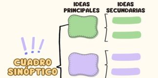 How to Create a Cuadro Sinóptico for Better Study and Memory