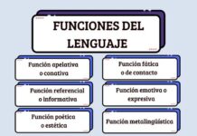 Come le funzioni linguistiche rivelano il tuo intento nascosto